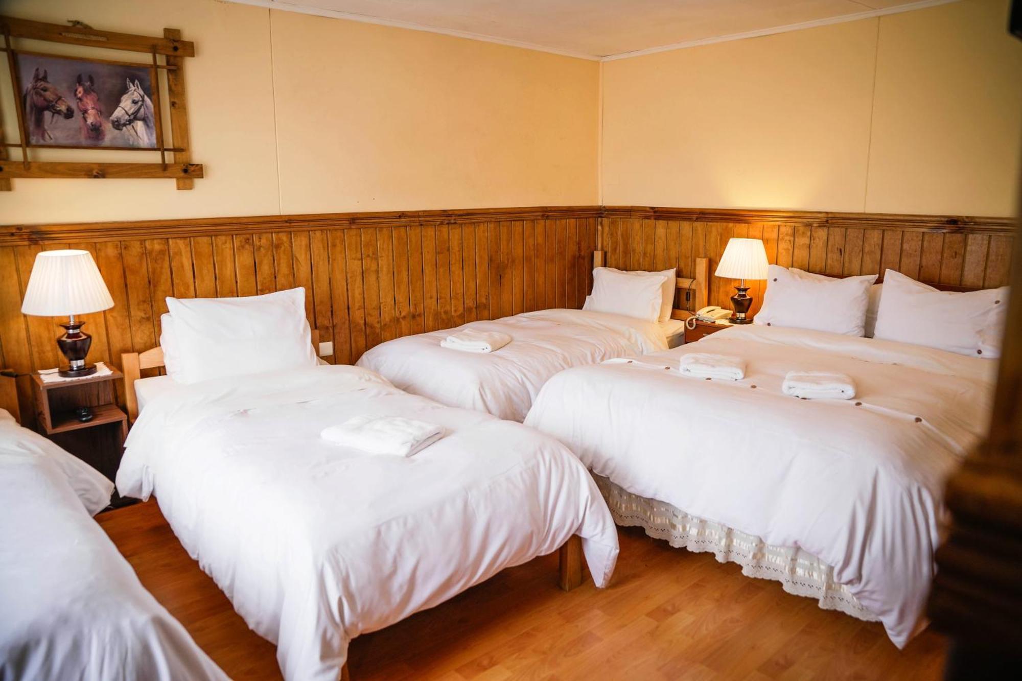 פואנטה ארנס Hostal Hielo Sur מראה חיצוני תמונה